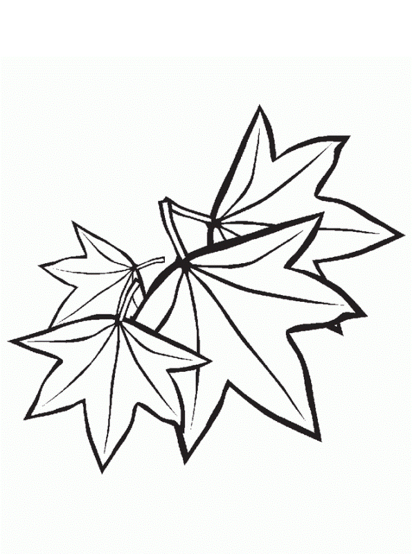 Kidsnfun 19 Kleurplaten van Bomen en blaadjes